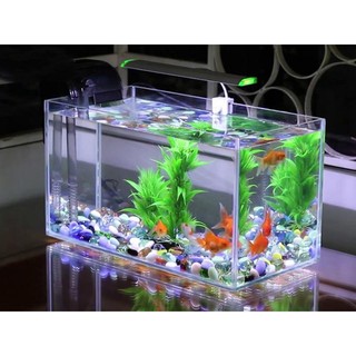 Hồ cá mica siêu trong kích thước 20x10x15cm