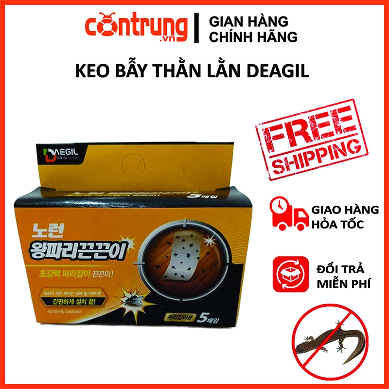 Keo Bẫy Thằn Lằn - Thạch Sùng Deagil - Hàn Quốc - Hộp 5 Miếng