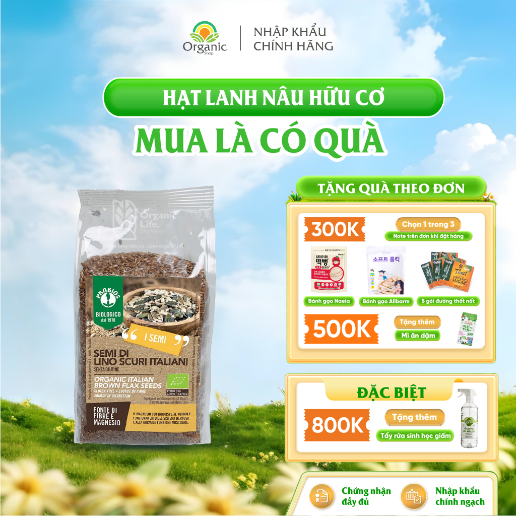 Hạt Lanh Nâu Brown Flaxseed Hữu Cơ 500g