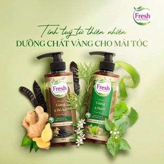  Dầu gội thảo mộc fresh Gừng Bưởi và Gừng Bồ kết 