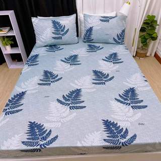 Bộ drap 4 món thun lạnh Hàn quốc mẫu mới nhất