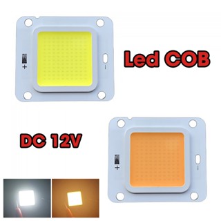 Mắt Led siêu sáng COB 12v 100w 50w 30w 20w