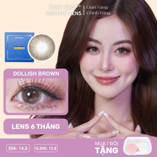  Kính Áp Tròng Giãn To 14.5 Dollish Brown độ cận 0 - 8 độ Silicone Hydrogel FAIRY SHOP CONTACT LENS cao cấp 