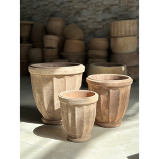 Chậu Ly Gân - Chậu Đất Nung Giả Cổ Terracotta - Cánh Cam Garden - Decor Sân Vườn