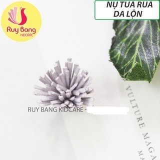 Nụ tua rua da lộn