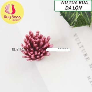 Nụ tua rua da lộn