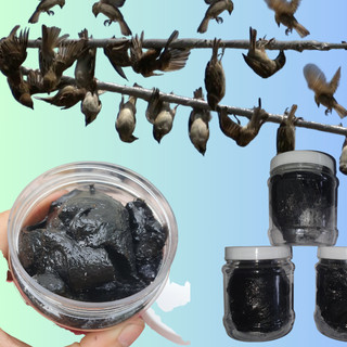  500gr Keo Dính Chim - Keo Bẫy Chim Sẻ Cu Gáy Chào Mào  Trao Trảo Hàng Thái Lan Siêu Dính 