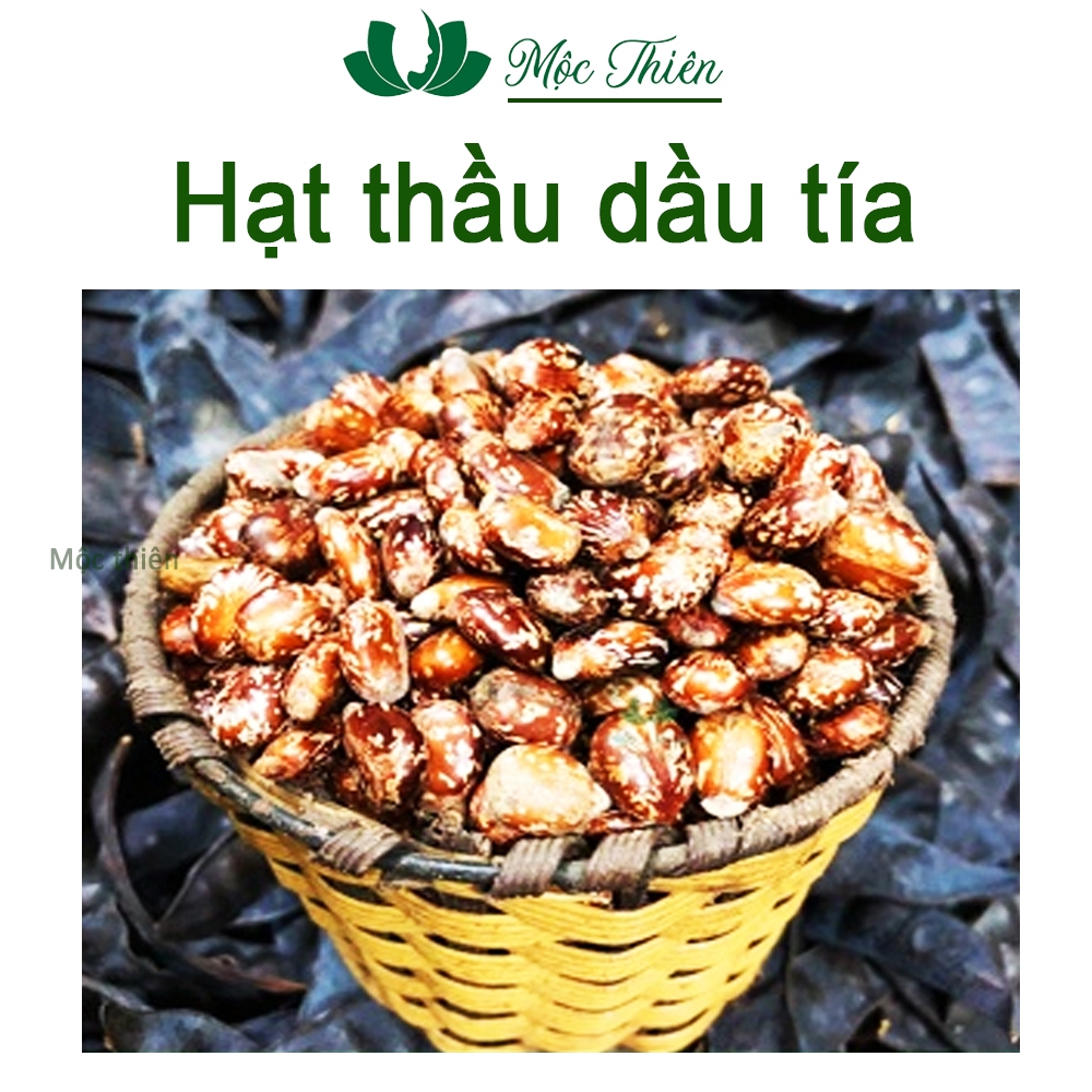 Hạt thầu dầu tía kích mọc tóc 100g