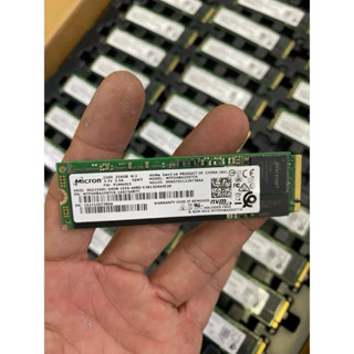 Ổ cứng 256GB ssd M2 và nvme tháo máy