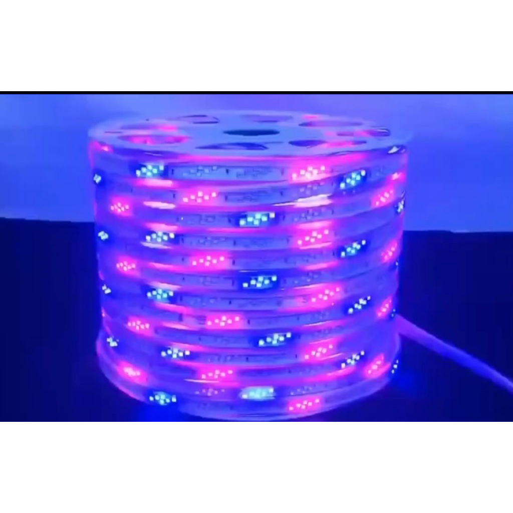 Dây đèn nháy đuổi ngoài trời( combo 100m)loại pun màu đa chức năng nháy 4 chân