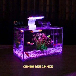 Đèn bể cá mini LED đen phù hợp cho bể cá mini