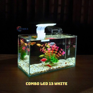 Đèn bể cá mini LED đen phù hợp cho bể cá mini