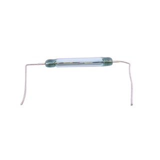 Công Tắc Từ 2*14mm