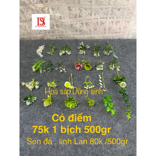 [ C442 ] ( 100 GRAM ) Lẻ Cỏ điểm, hoa điểm bó hoa, trang trí giỏ quà, hộp quà, giỏ hoa quả, trang trí decor