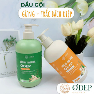  Dầu gội gừng thảo dược O'DEP 500ml giảm gàu ngứa nuôi khỏe da đầu - HAPOS LOF 