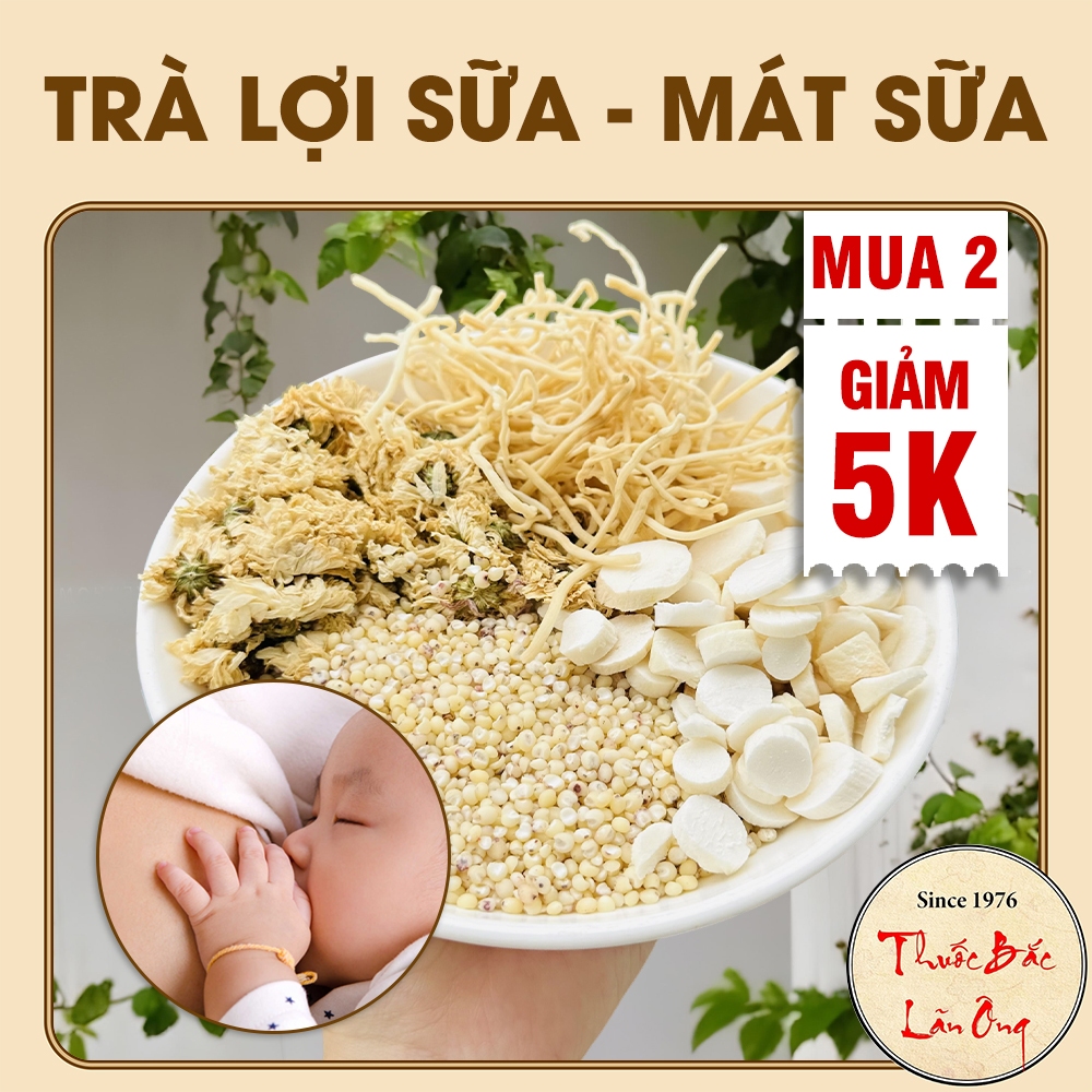 Trà lợi sữa, mát sữa, set mix 5 gói - Lãn Ông