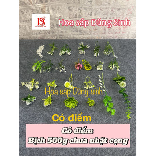 [ C442 ] ( 100 GRAM ) Lẻ Cỏ điểm, hoa điểm bó hoa, trang trí giỏ quà, hộp quà, giỏ hoa quả, trang trí decor