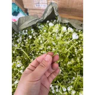 [ C442 ] ( 100 GRAM ) Lẻ Cỏ điểm, hoa điểm bó hoa, trang trí giỏ quà, hộp quà, giỏ hoa quả, trang trí decor