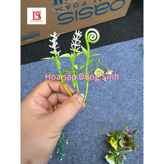 [ C442 ] ( 100 GRAM ) Lẻ Cỏ điểm, hoa điểm bó hoa, trang trí giỏ quà, hộp quà, giỏ hoa quả, trang trí decor