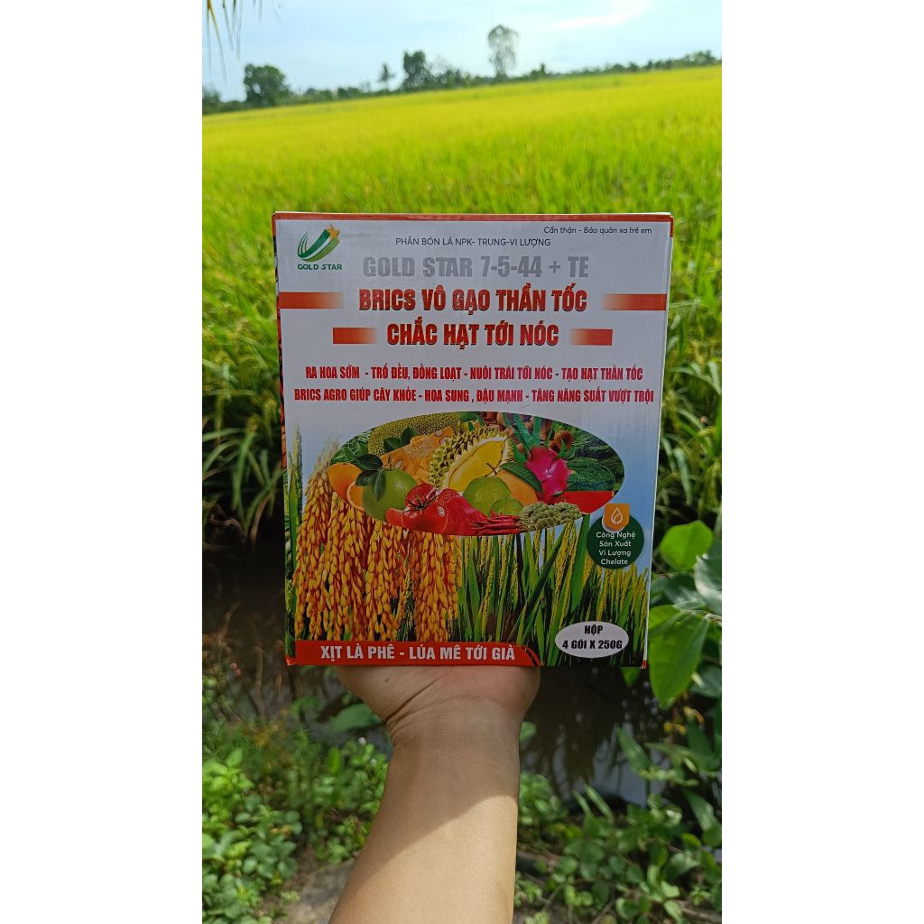 Brics vô gạo thần tốc,chắc hạt tới nóc,giúp lúa vô gạo nhanh,xanh lá đồng,hạt sáng chắc,1 gói 250g s