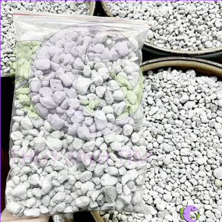 Vật Liệu Lọc Cao Cấp Matrix (1 Lít)
