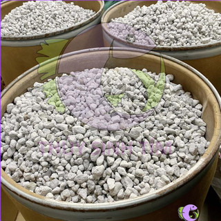 Vật Liệu Lọc Cao Cấp Matrix (1 Lít)