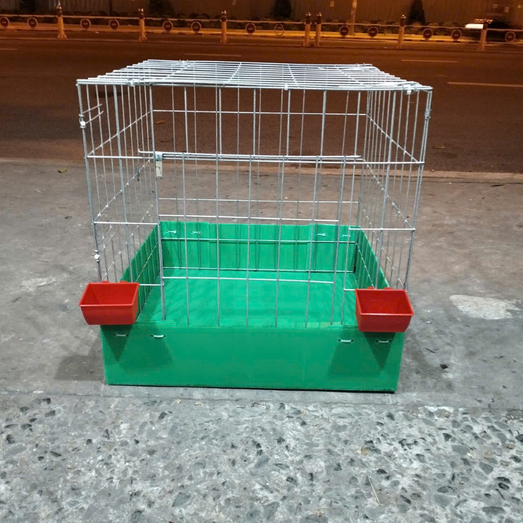 CHUỒNG 60 VUÔNG KẼM 3LI ĐỂ NUÔI GÀ TRE, GÀ KIỂNG