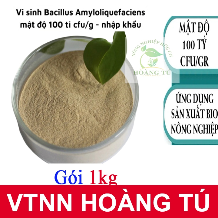 Vi khuẩn Bacillus amyloliquefaciens mật độ 1x10 mũ 11 cfu/g - gói 1kg