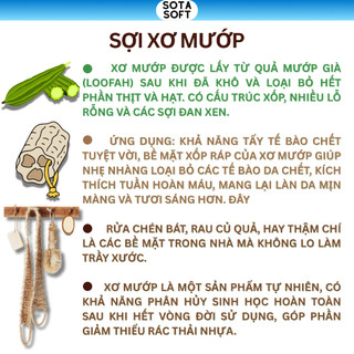 Miếng Rửa Chén Xơ Mướp Tự Nhiên - Cọ Rửa Bát Đĩa Sạch Dầu Mỡ, Phân Hủy Sinh Học.