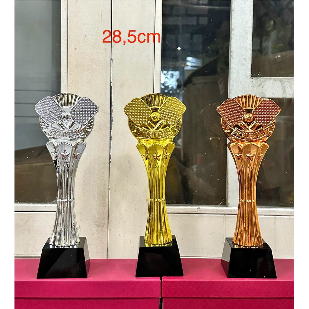 CÚP PICKLEBALL MÃ 02