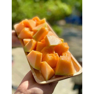 DƯA LƯỚI GIÒN NGỌT SIÊU NGON