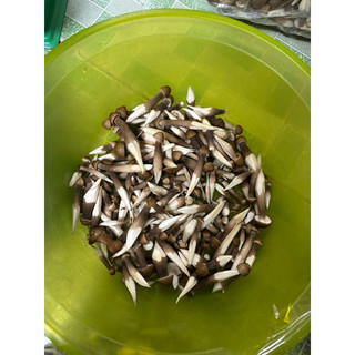 Nấm Mối Đen 250gr Loại 3