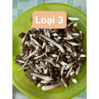 Nấm Mối Đen 250gr Loại 3