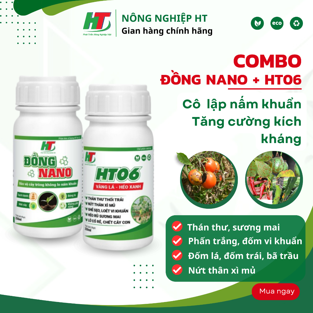 BỘ ĐÔI ĐỒNG VÀ HT06 - Thán thư, sương mai, héo xanh, phấn trắng, ghẻ sẹo, đốm lá, đốm quả, thối quá,...