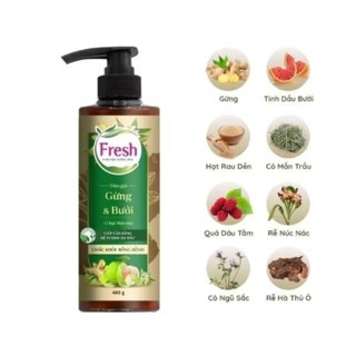 Dầu gội/dầu xả Fresh các loại