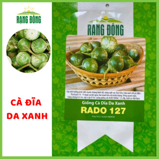 [RẠNG ĐÔNG]Hạt giống CÀ ĐĨA DA XANH dễ trồng, dễ nảy mầm, hạt giống Rạng Đông