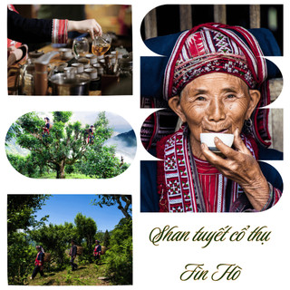HỒNG TRÀ SHAN OCOP 5 ⭐️ QUỐC GIA - SHAN TUYẾT 1 TÔM 1 LÁ (100g)