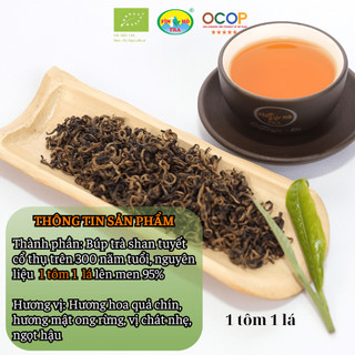 HỒNG TRÀ SHAN OCOP 5 ⭐️ QUỐC GIA - SHAN TUYẾT 1 TÔM 1 LÁ (100g)