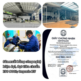 HỒNG TRÀ SHAN OCOP 5 ⭐️ QUỐC GIA - SHAN TUYẾT 1 TÔM 1 LÁ (100g)
