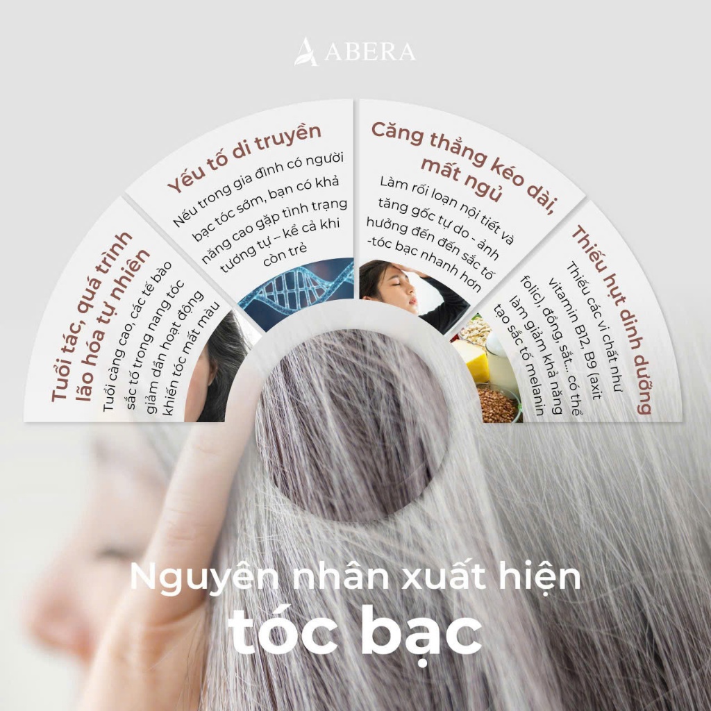 DẦU GỘI PHỦ BẠC ABERA 10 GÓI - Giúp Phủ Den Cho Tóc Bạc Tiện Lợi, Giúp Tóc Đều Màu Và Mượt Mà
