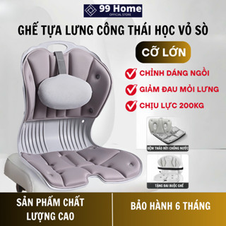 Ghế Bệt Tựa Lưng Vỏ Sò Có Gối Tựa Giảm Đau Mỏi Lưng, Chỉnh Dáng Ngồi Đúng, Chống Cong Vẹo Cột Sống, Tựa Lưng Ghế Có Đệm