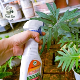 Bình xịt rệp sáp, bọ trĩ, bọ xít, sâu ăn lá,… sinh học từ VƯỜN NHIỆT ĐỚI giúp bảo vệ cây trồng