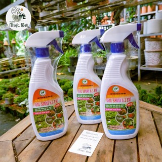 Bình xịt rệp sáp, bọ trĩ, bọ xít, sâu ăn lá,… sinh học từ VƯỜN NHIỆT ĐỚI giúp bảo vệ cây trồng