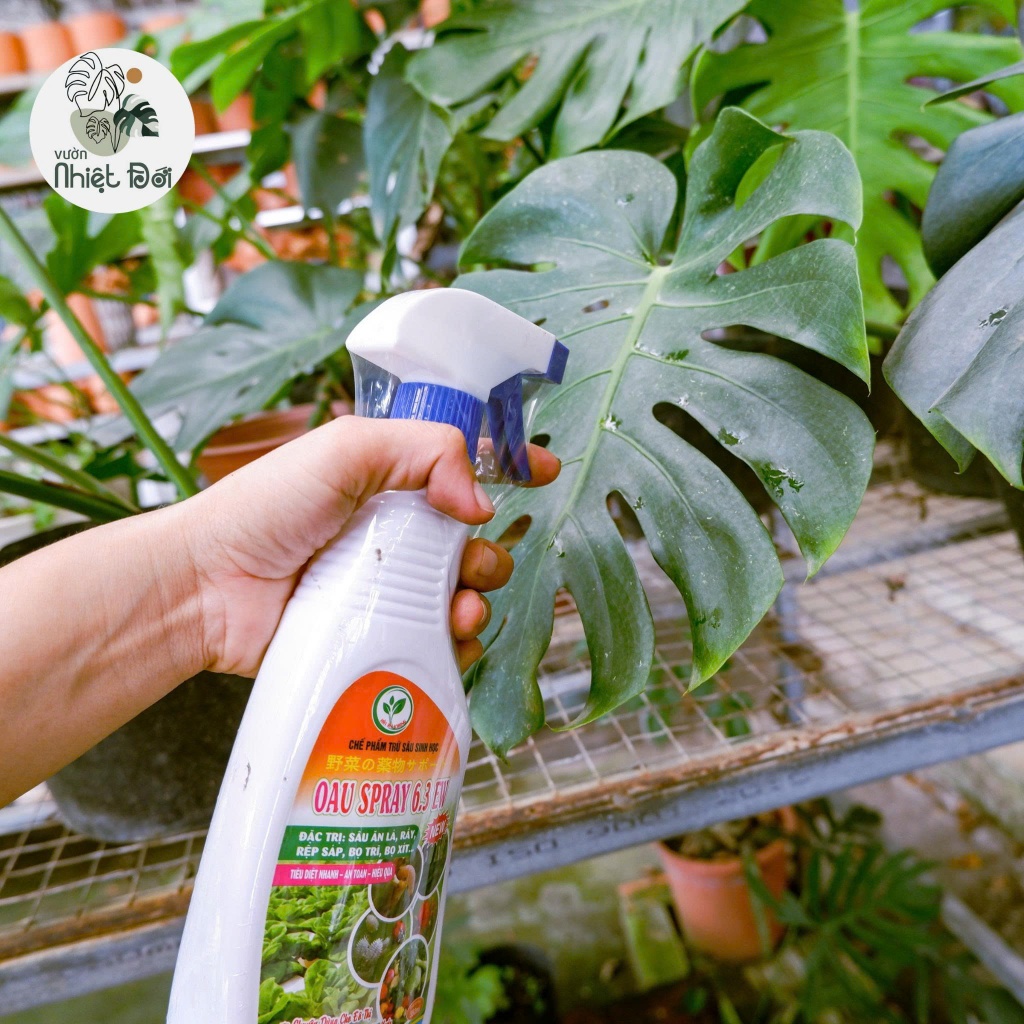 Bình xịt rệp sáp, bọ trĩ, bọ xít, sâu ăn lá,… sinh học từ VƯỜN NHIỆT ĐỚI giúp bảo vệ cây trồng