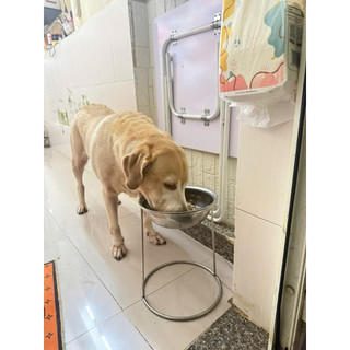 Đế ăn cho chó inox nhiều size(Hàng loại 1)