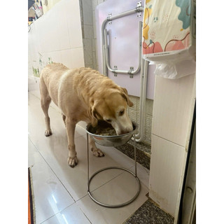 Đế ăn cho chó inox nhiều size(Hàng loại 1)