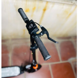 Xe Scooter AnneLawson A5D Người Lớn ( 2 Màu ) [ CHÍNH HÃNG ]