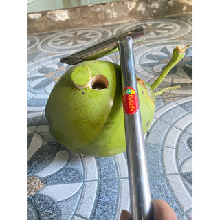 Cây đục dừa, Búa đục dừa Mới