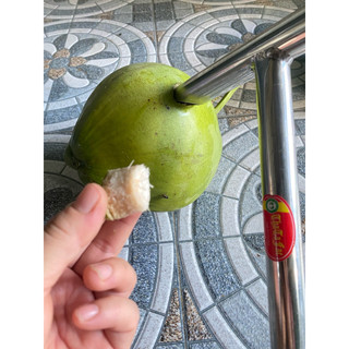 Cây đục dừa, Búa đục dừa Mới