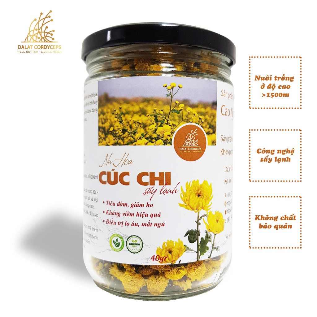 Trà thảo mộc nụ hoa cúc chi hàng  sấy lạnh - Dalat Cordyceps - thượng hạng